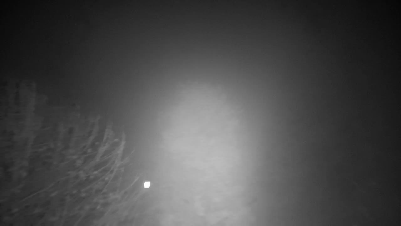 Webcam Ribnik Vrbje – Žalec