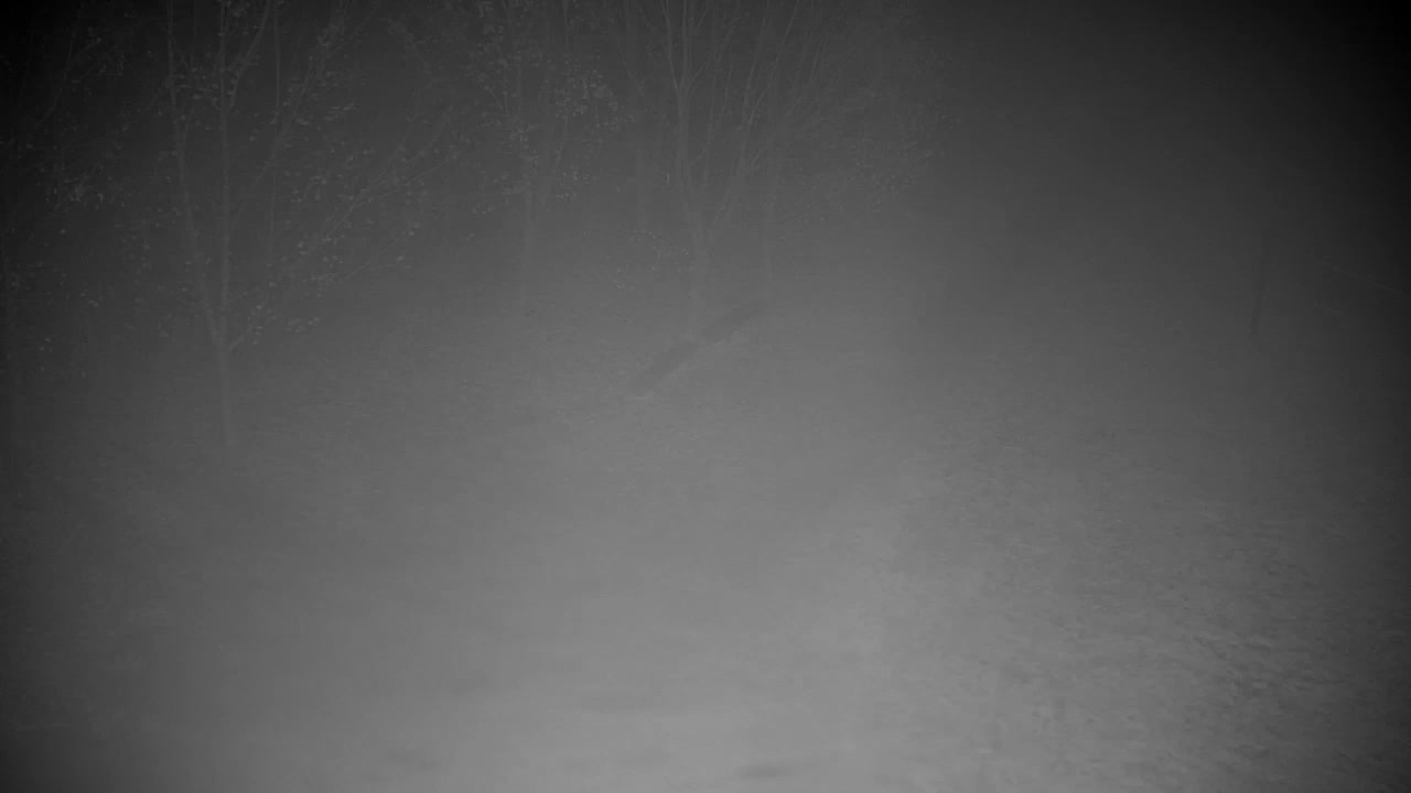 Webcam Ribnik Vrbje – Žalec