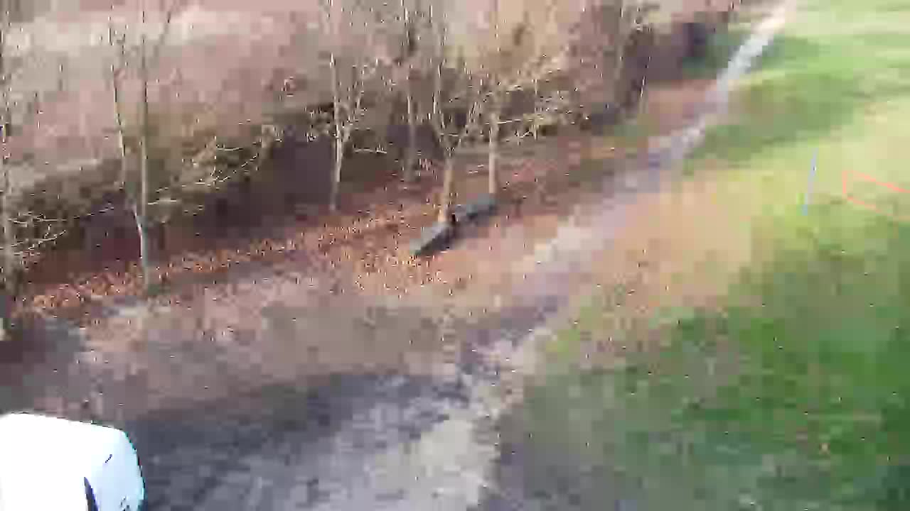 Webcam Ribnik Vrbje – Žalec