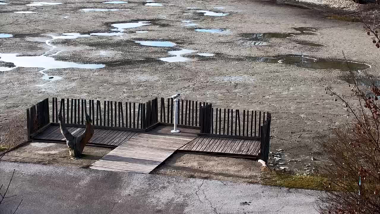 Spletna kamera Ribnik Vrbje – Žalec