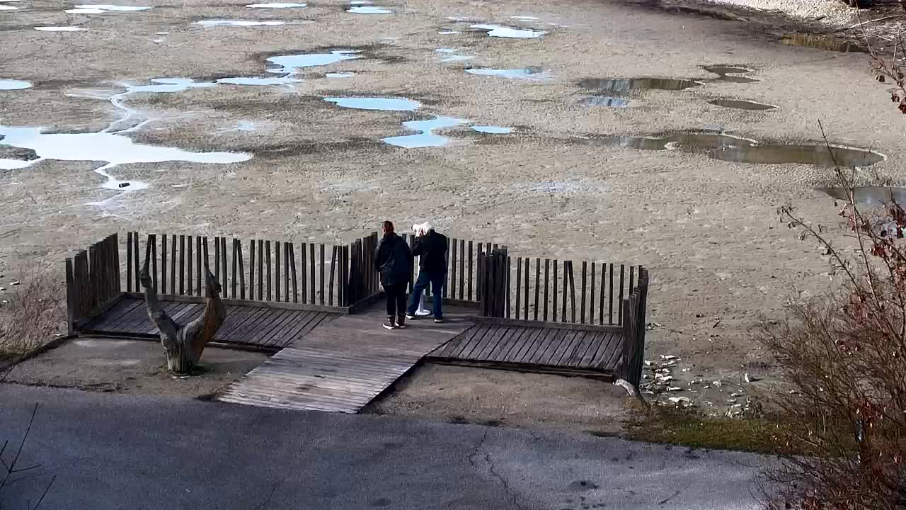 Webcam Ribnik Vrbje – Žalec