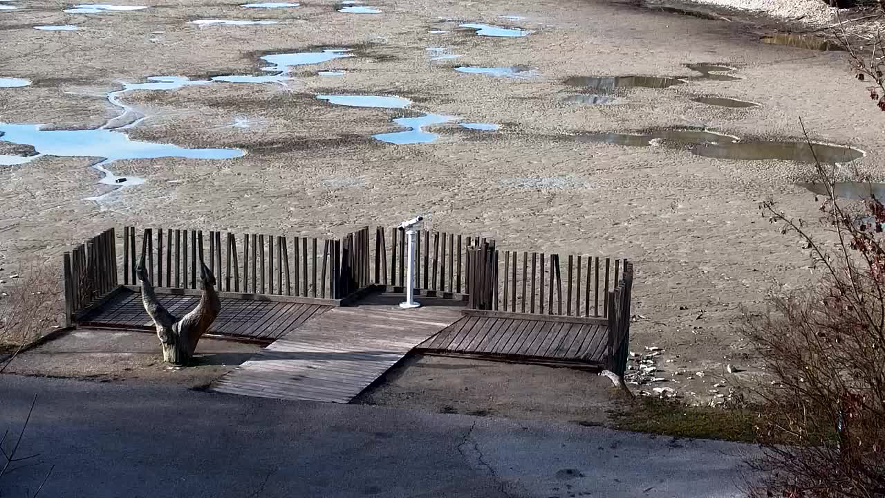 Webcam Ribnik Vrbje – Žalec