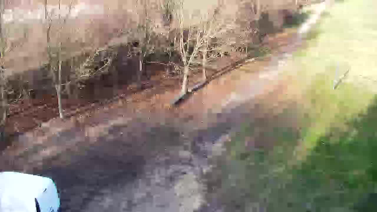 Spletna kamera Ribnik Vrbje – Žalec