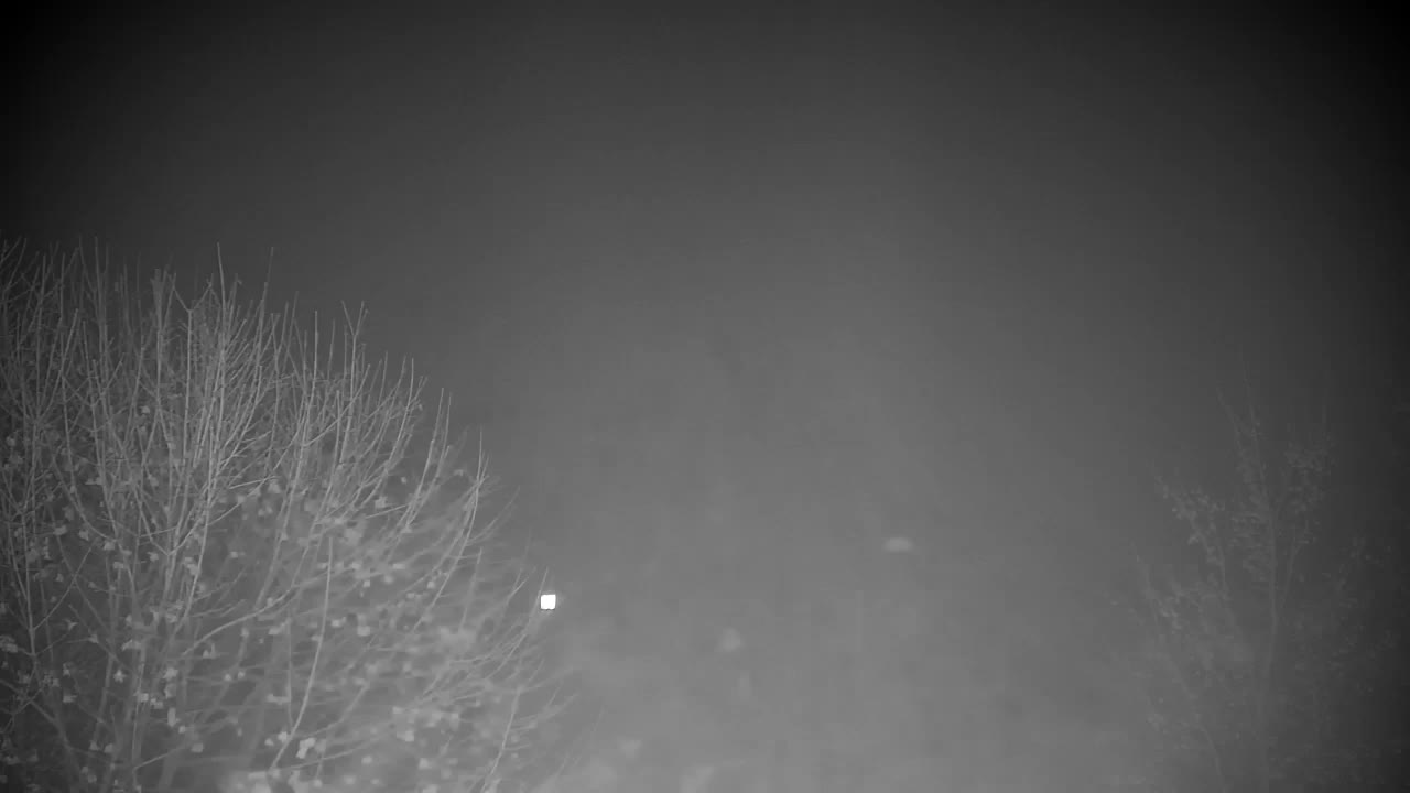 Webcam Ribnik Vrbje – Žalec