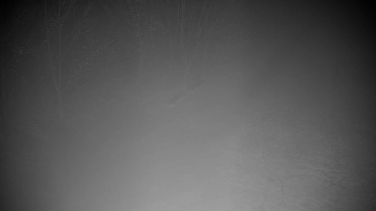 Webcam Ribnik Vrbje – Žalec