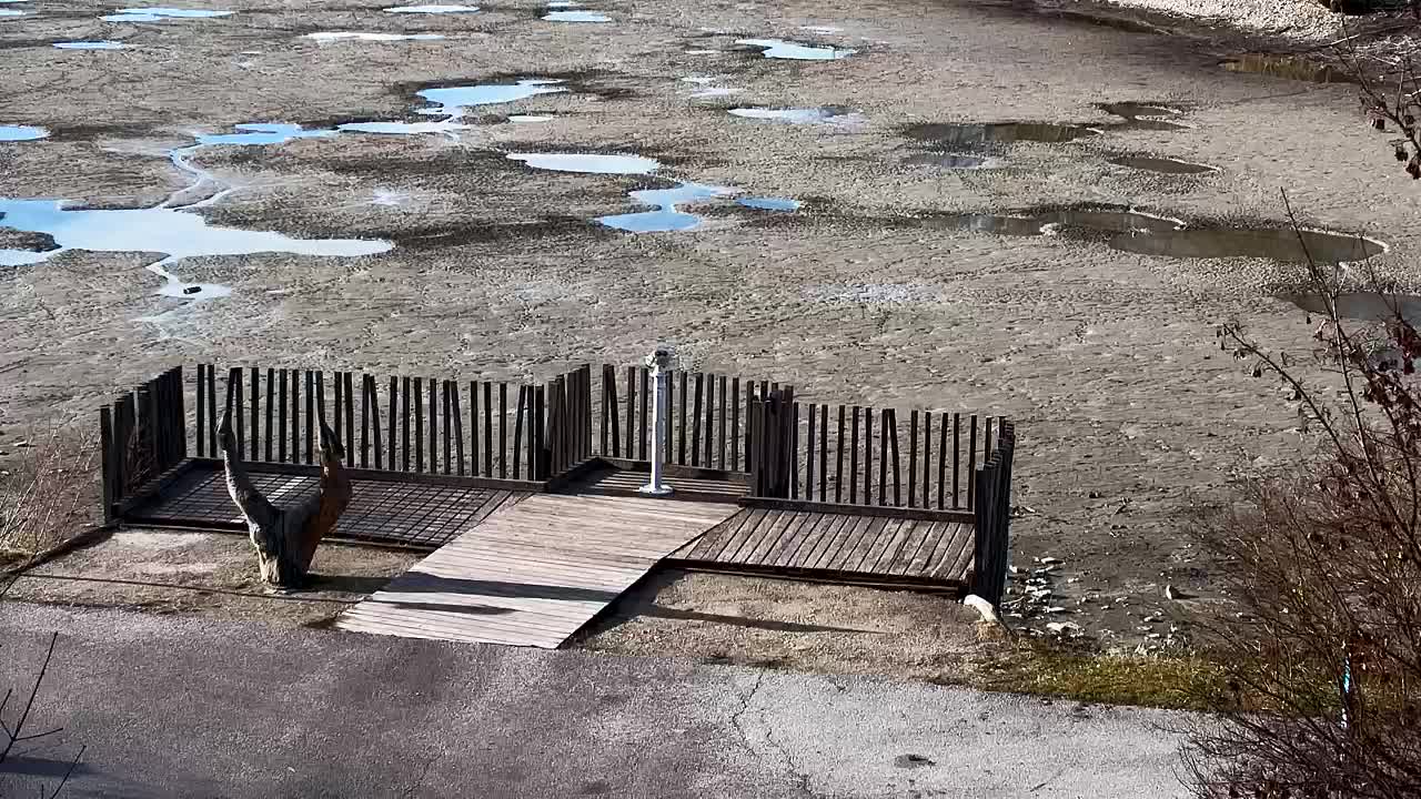 Web kamera Ribnik Vrbje – Žalec