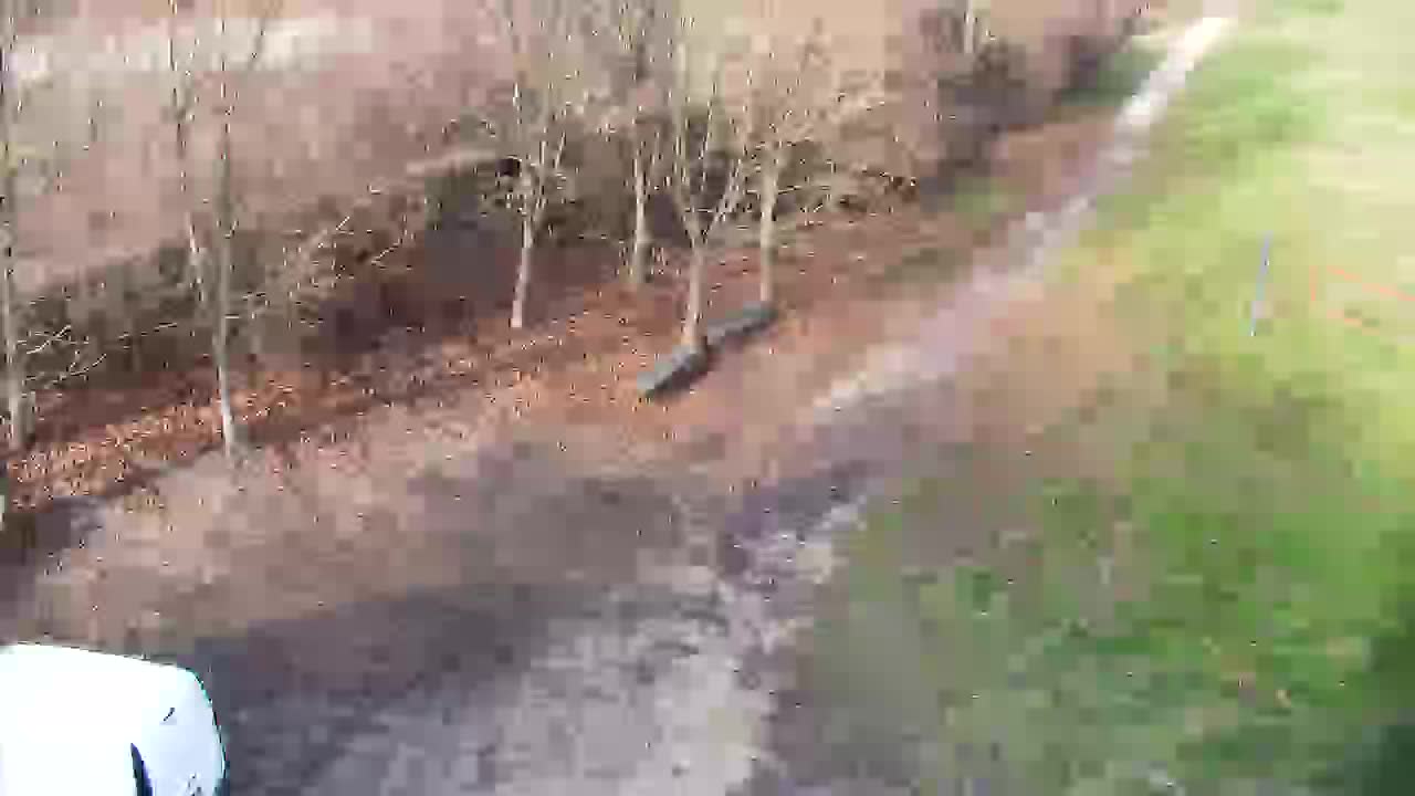 Spletna kamera Ribnik Vrbje – Žalec