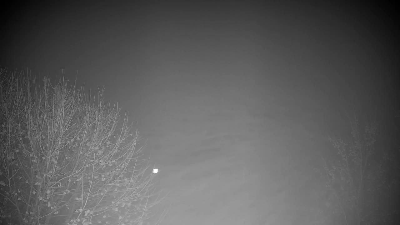 Webcam Ribnik Vrbje – Žalec