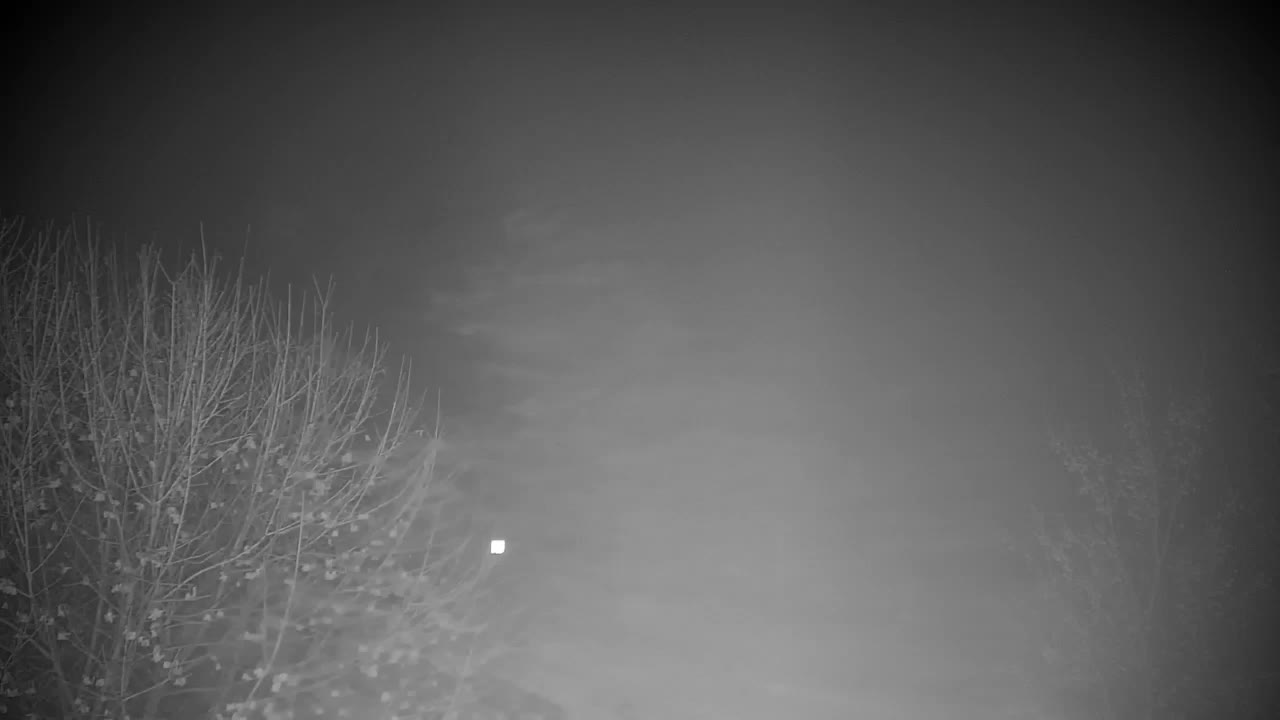 Webcam Ribnik Vrbje – Žalec