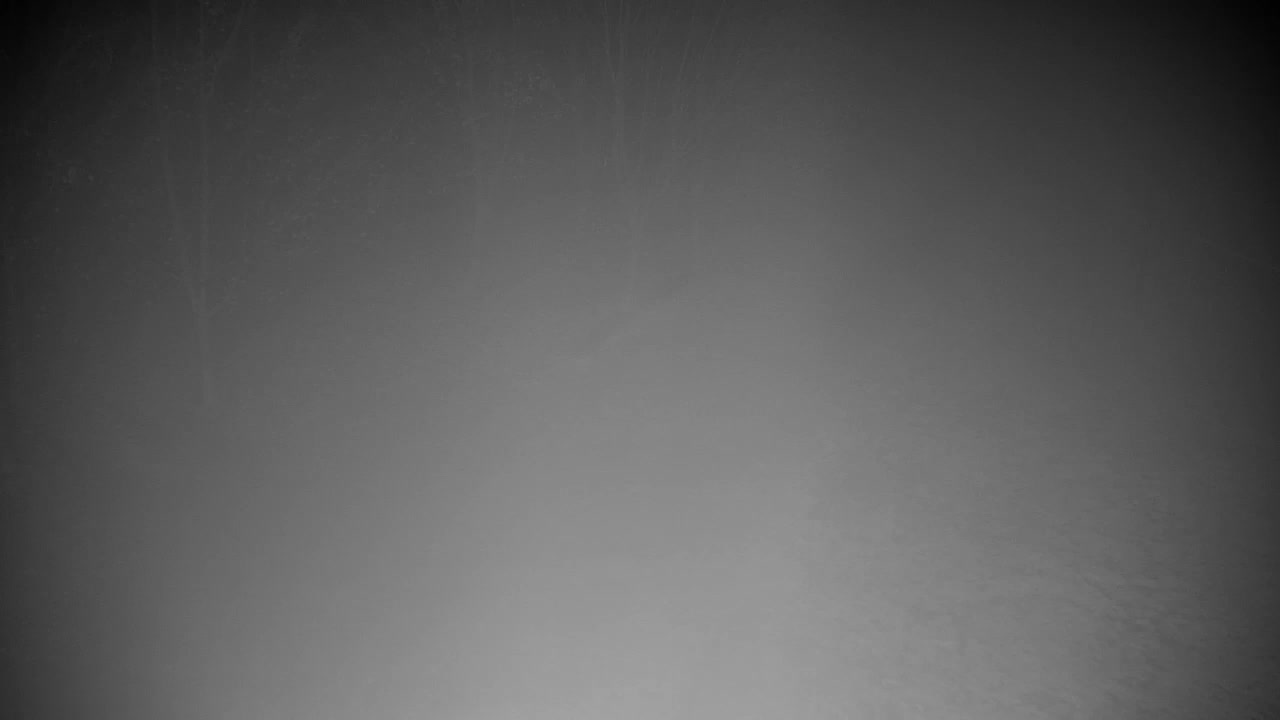 Web kamera Ribnik Vrbje – Žalec