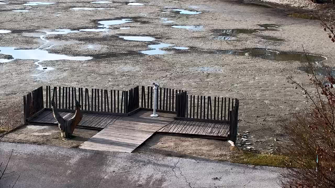 Spletna kamera Ribnik Vrbje – Žalec