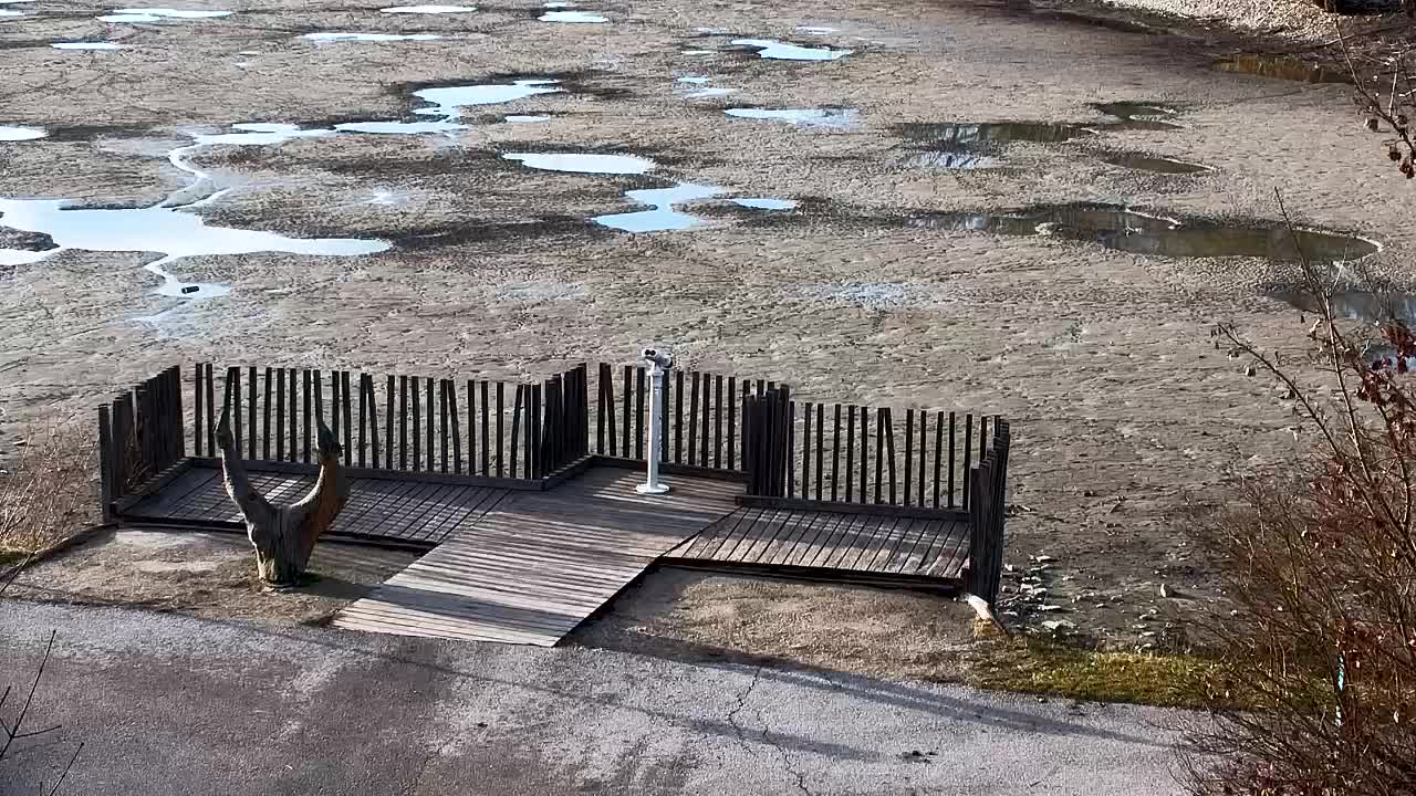 Webcam Ribnik Vrbje – Žalec