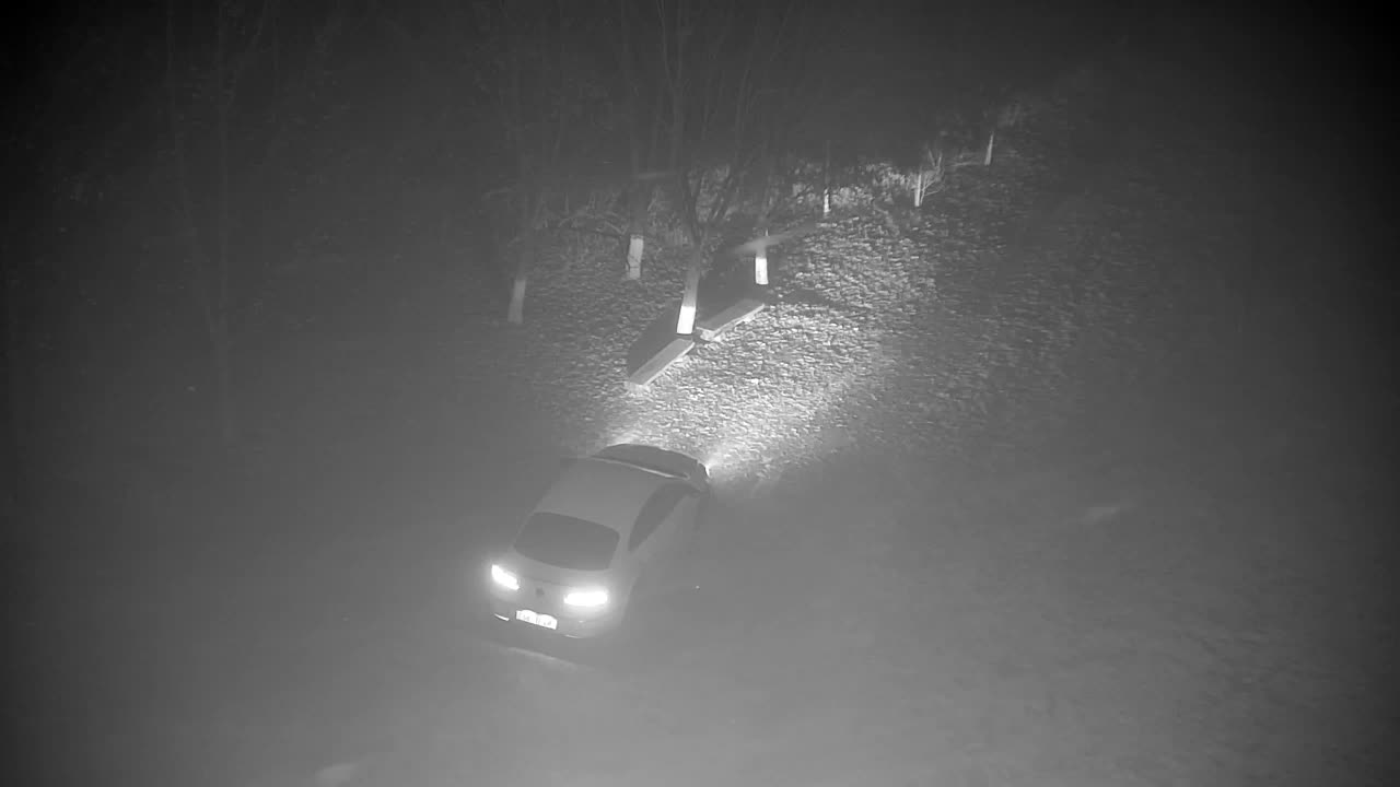 Webcam Ribnik Vrbje – Žalec