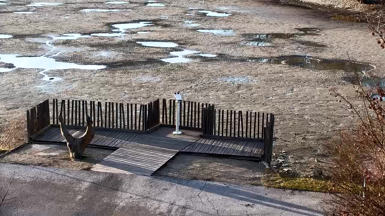 Webcam Ribnik Vrbje – Žalec