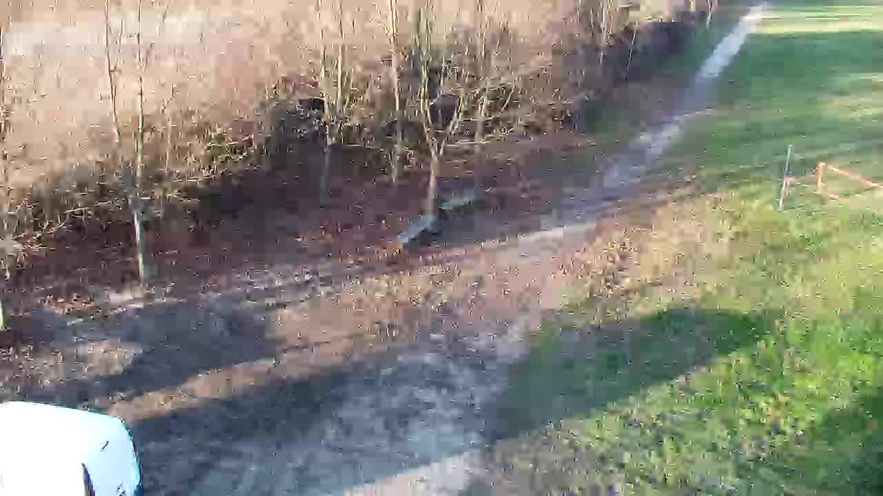 Webcam Ribnik Vrbje – Žalec