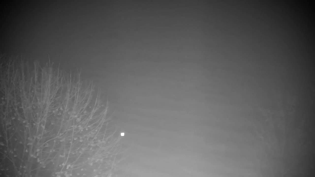 Webcam Ribnik Vrbje – Žalec