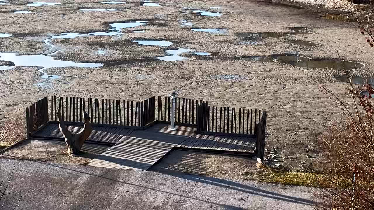 Webcam Ribnik Vrbje – Žalec