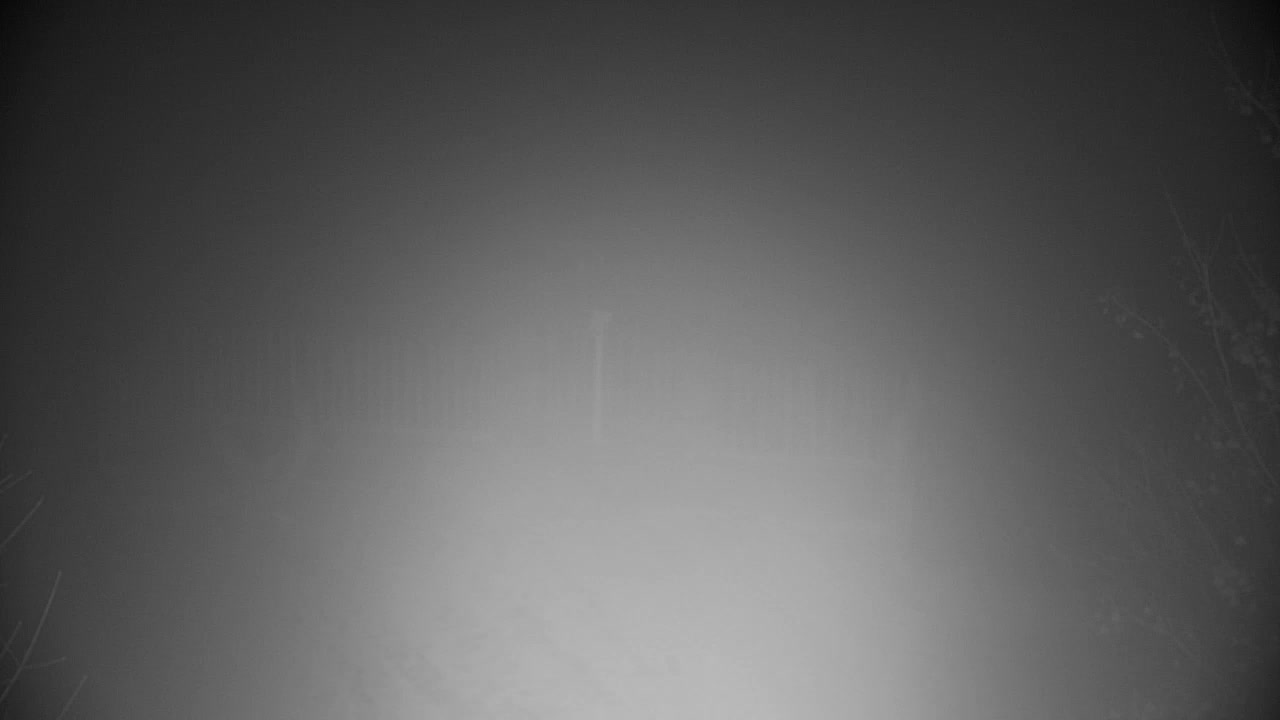 Spletna kamera Ribnik Vrbje – Žalec