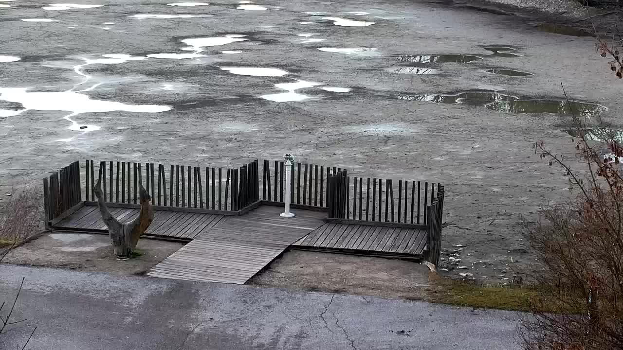 Webcam Ribnik Vrbje – Žalec