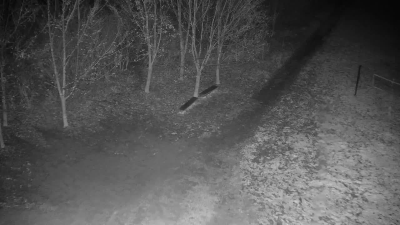 Webcam Ribnik Vrbje – Žalec