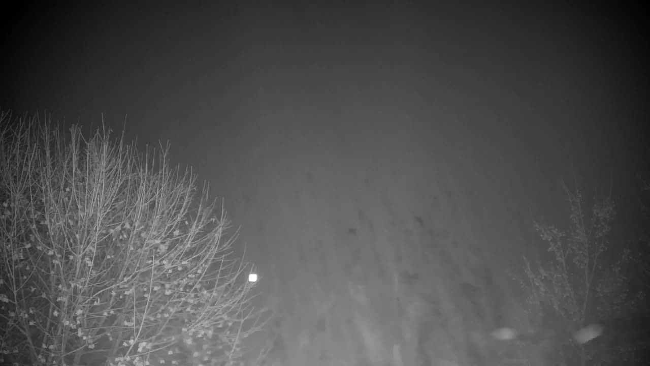 Webcam Ribnik Vrbje – Žalec