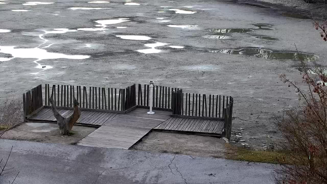 Webcam Ribnik Vrbje – Žalec