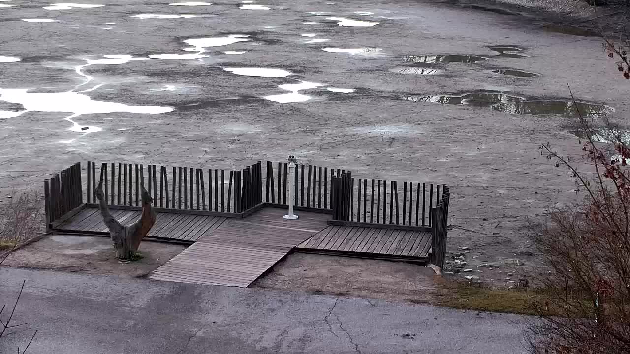 Spletna kamera Ribnik Vrbje – Žalec