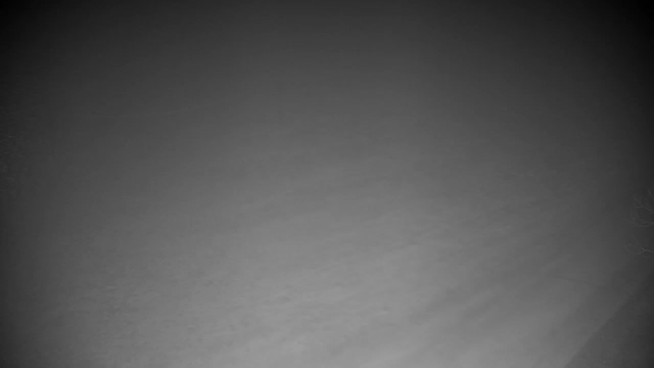 Spletna kamera Ribnik Vrbje – Žalec