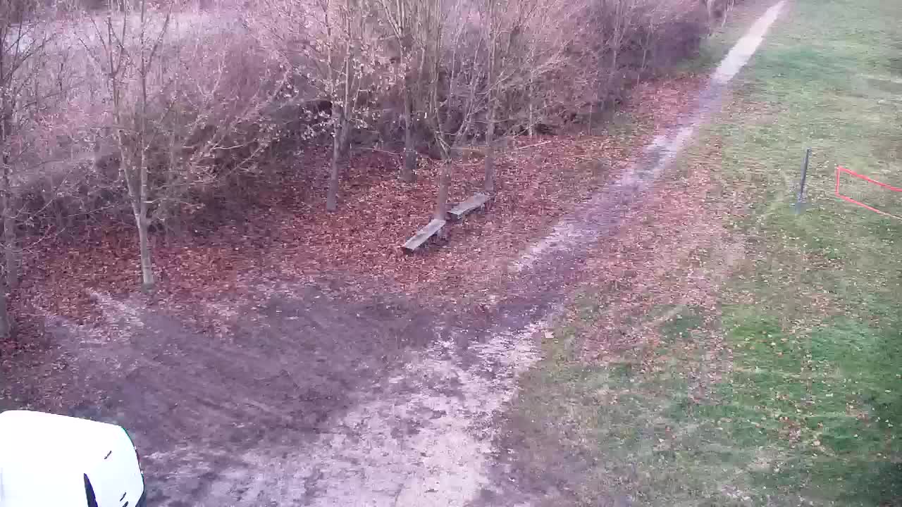 Web kamera Ribnik Vrbje – Žalec