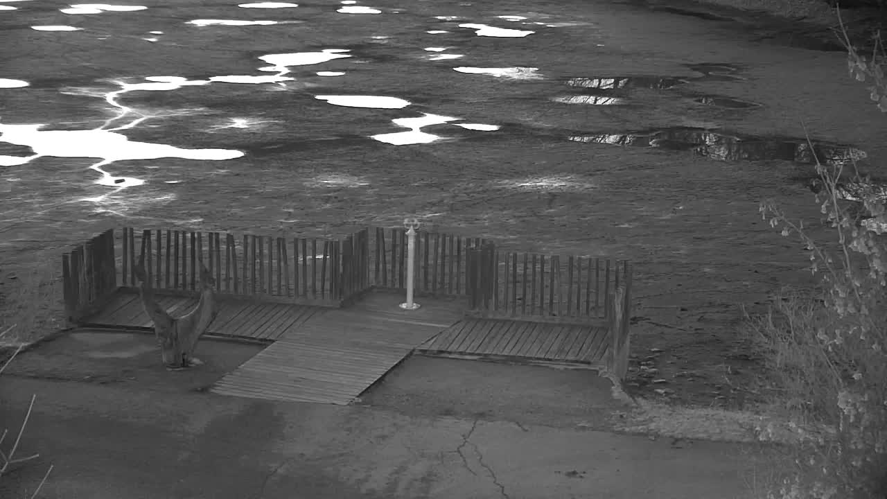 Webcam Ribnik Vrbje – Žalec