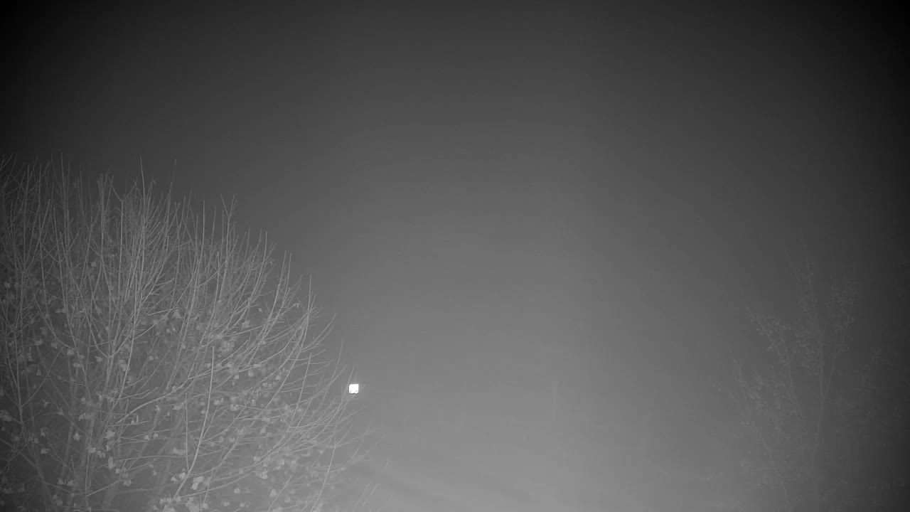 Webcam Ribnik Vrbje – Žalec