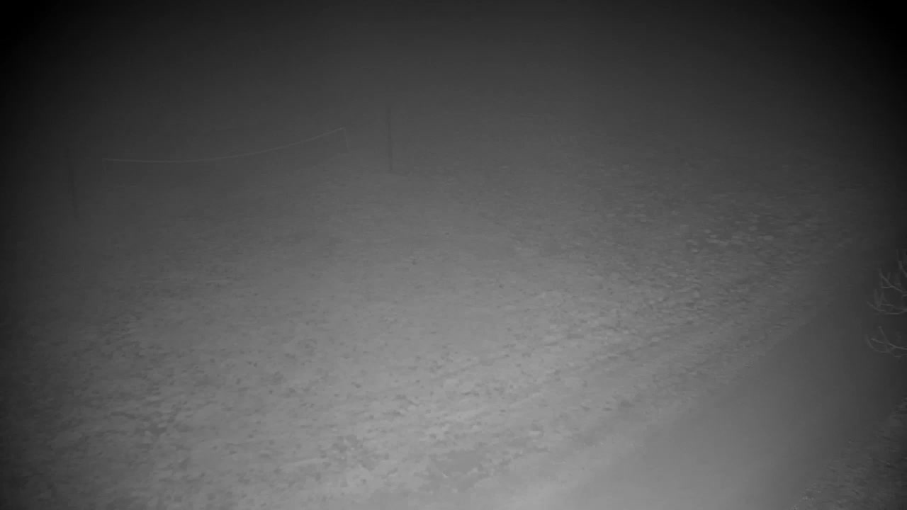 Webcam Ribnik Vrbje – Žalec