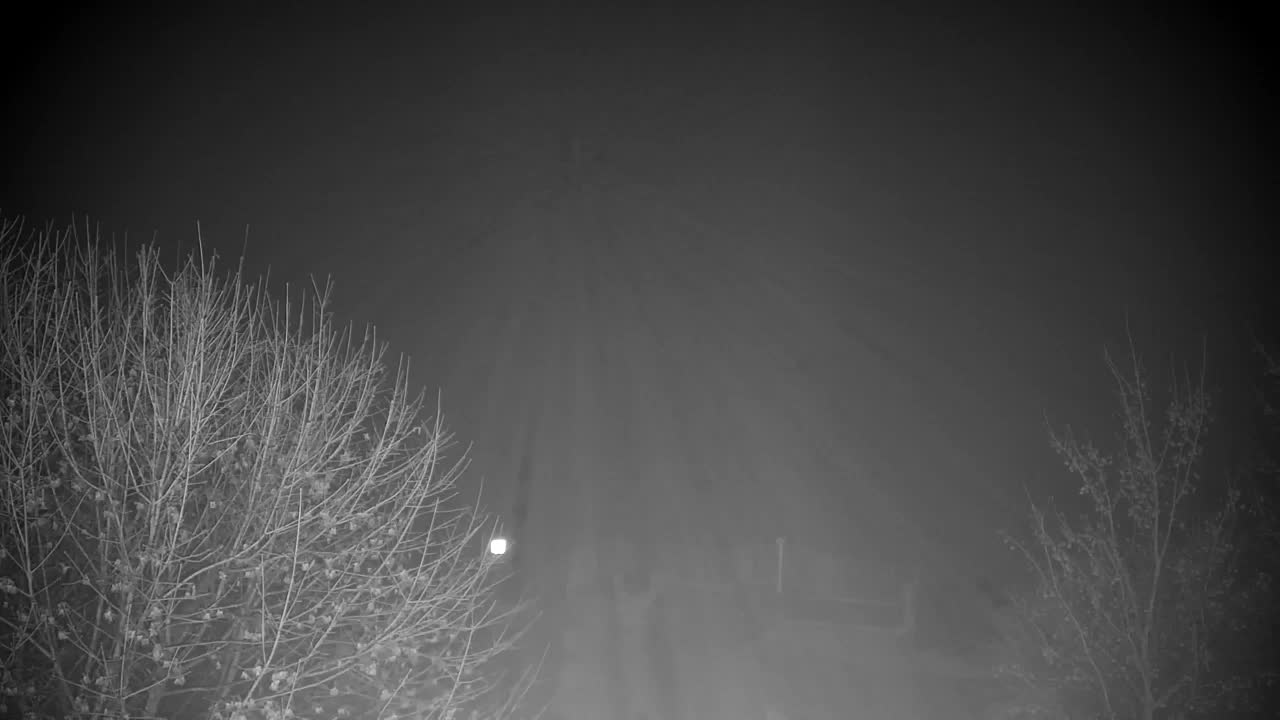 Webcam Ribnik Vrbje – Žalec