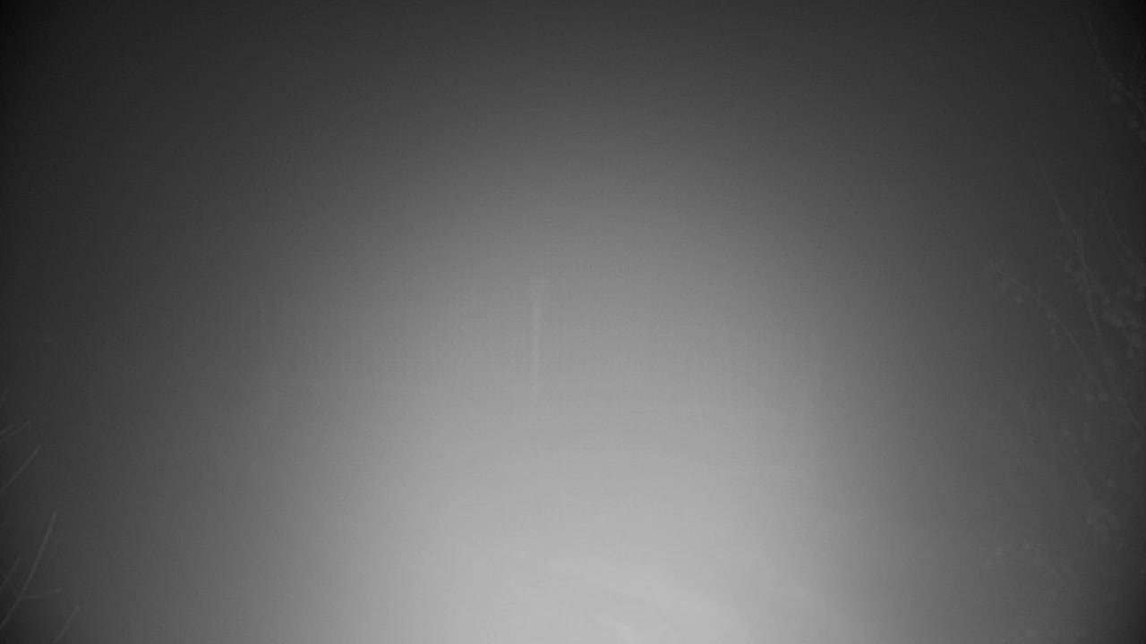 Webcam Ribnik Vrbje – Žalec