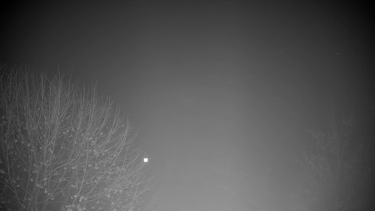 Spletna kamera Ribnik Vrbje – Žalec