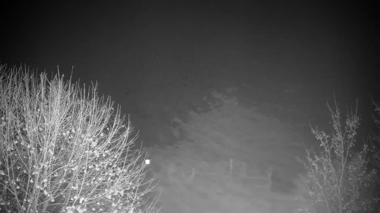 Webcam Ribnik Vrbje – Žalec