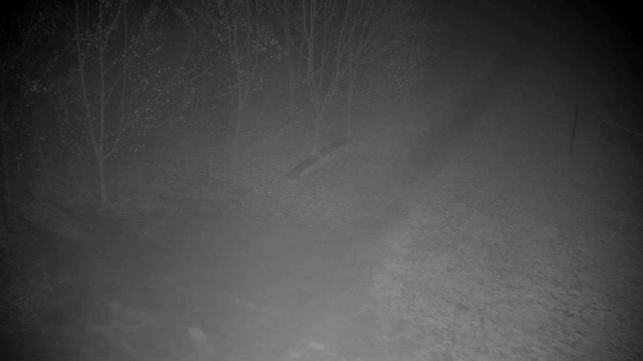 Webcam Ribnik Vrbje – Žalec