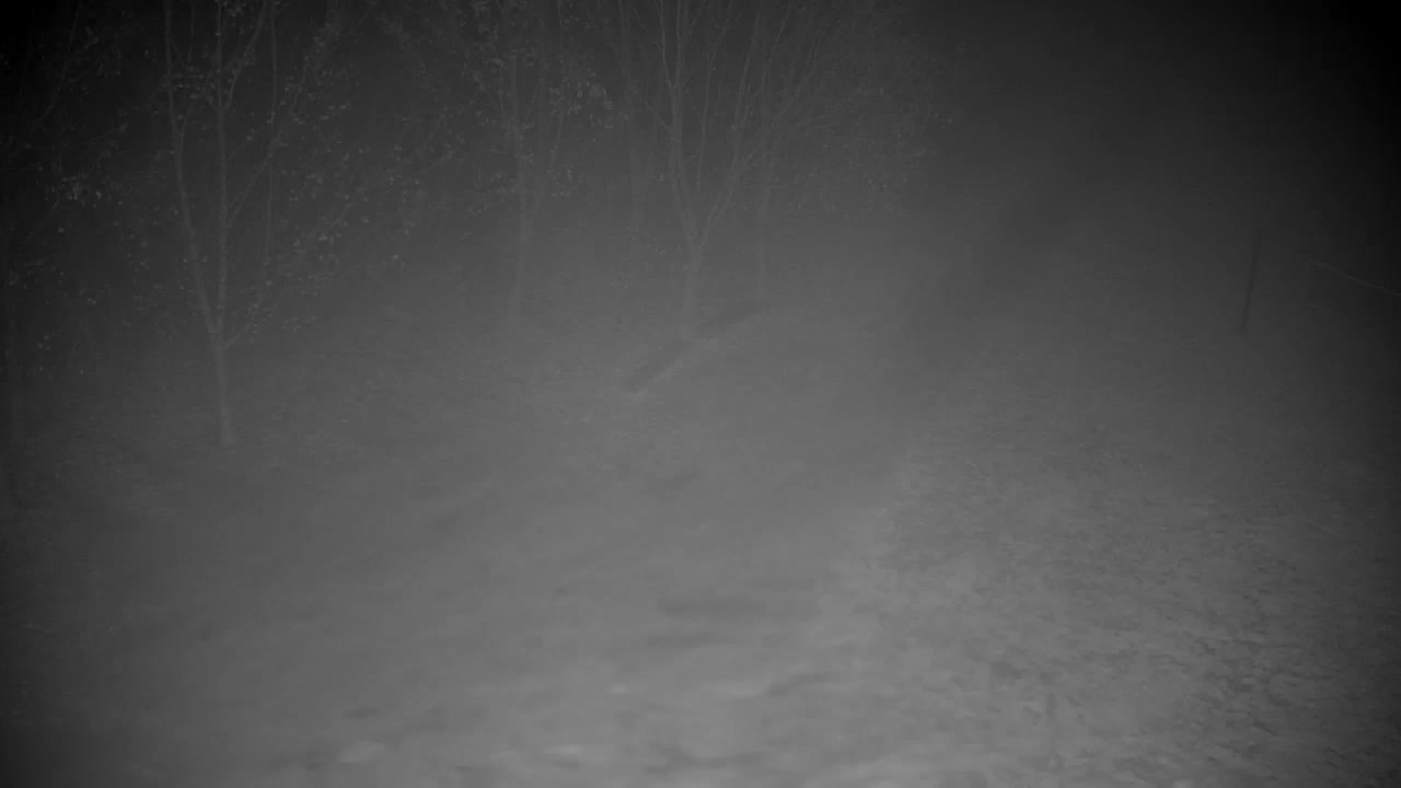 Webcam Ribnik Vrbje – Žalec