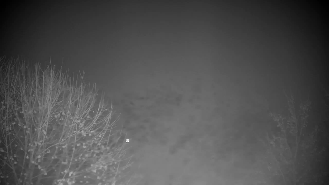 Webcam Ribnik Vrbje – Žalec