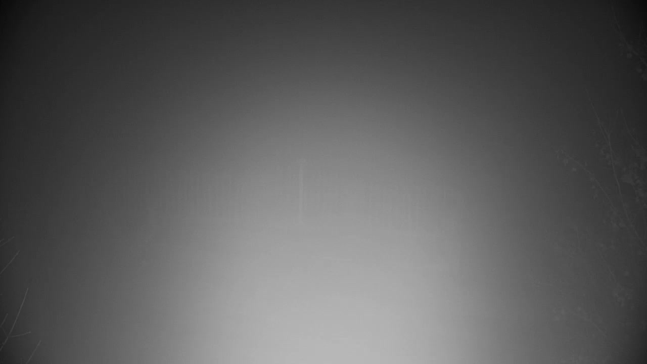 Web kamera Ribnik Vrbje – Žalec