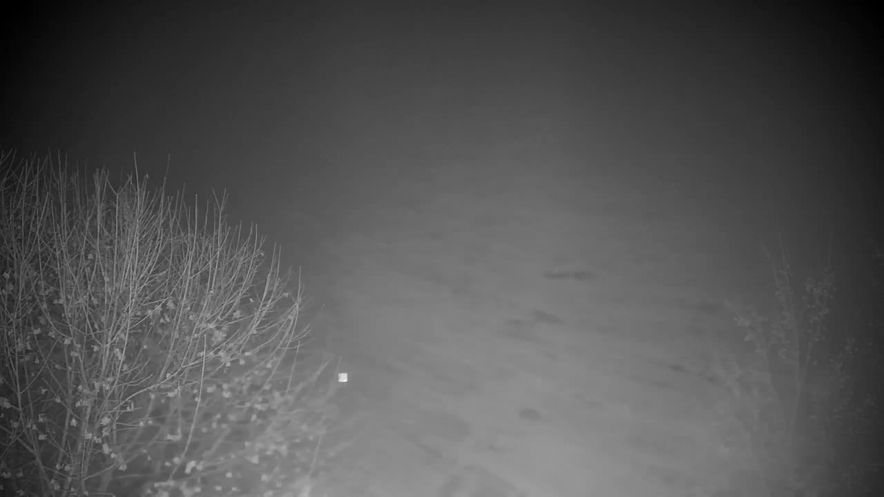 Spletna kamera Ribnik Vrbje – Žalec