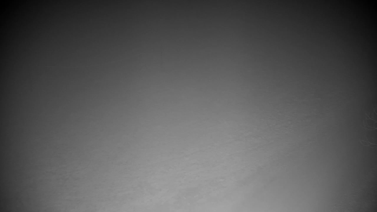 Web kamera Ribnik Vrbje – Žalec