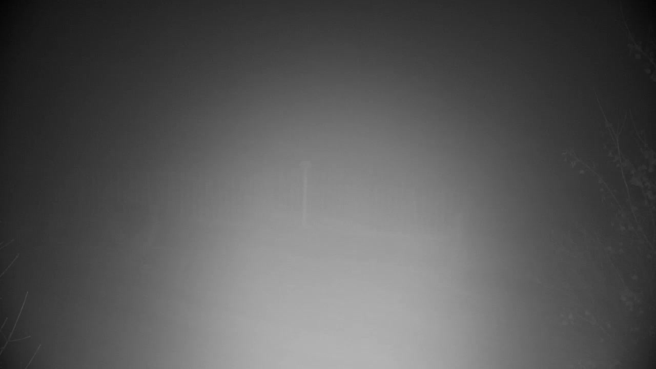 Webcam Ribnik Vrbje – Žalec