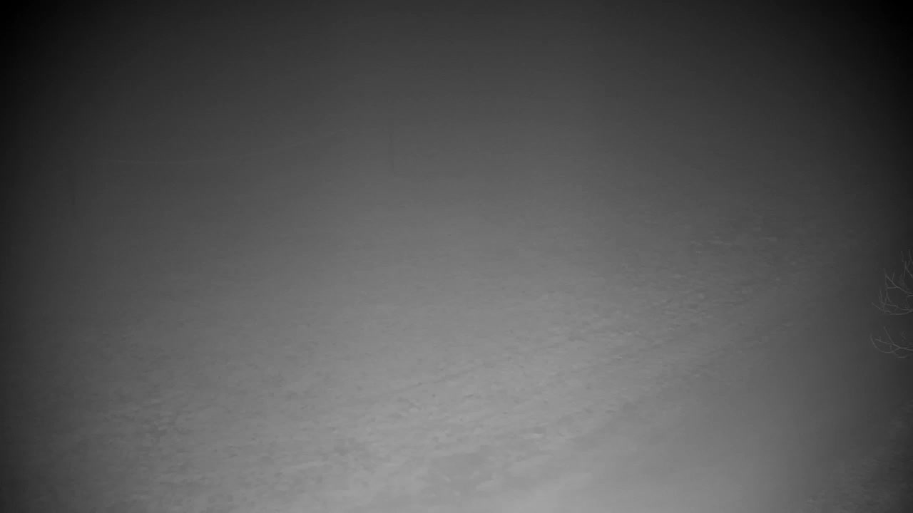 Webcam Ribnik Vrbje – Žalec