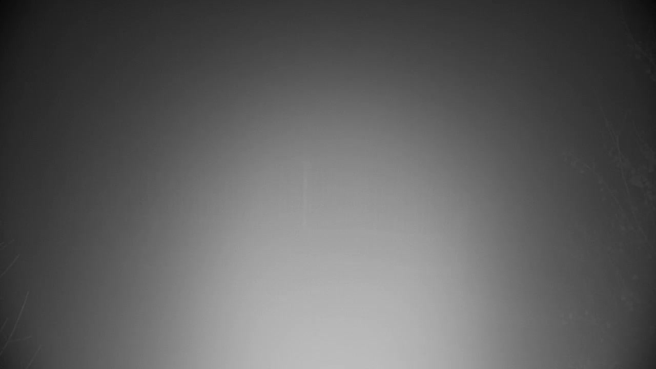 Spletna kamera Ribnik Vrbje – Žalec