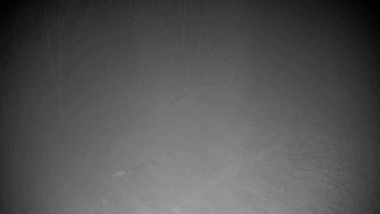 Webcam Ribnik Vrbje – Žalec