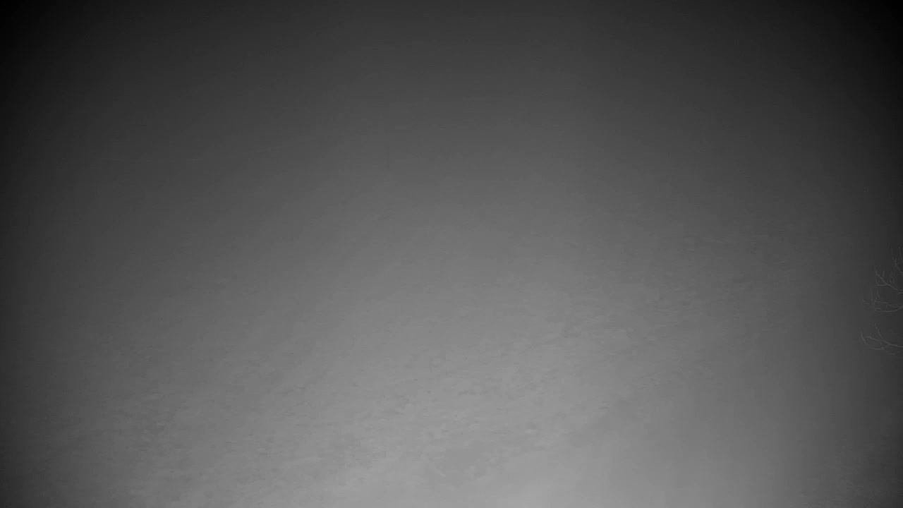 Web kamera Ribnik Vrbje – Žalec