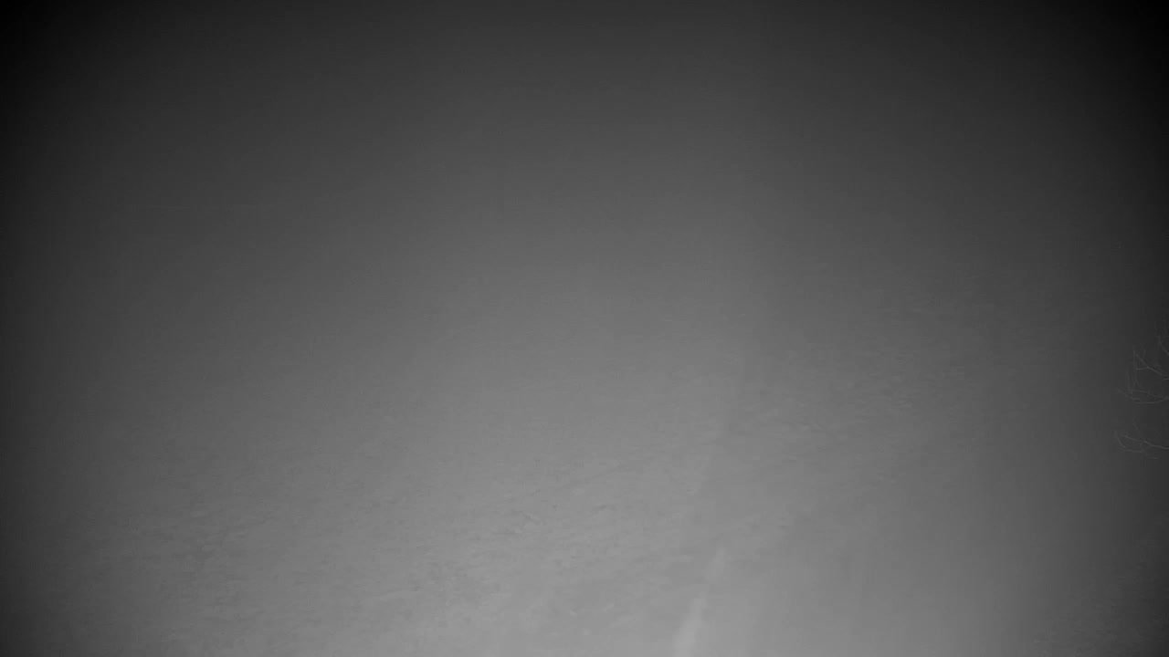 Web kamera Ribnik Vrbje – Žalec