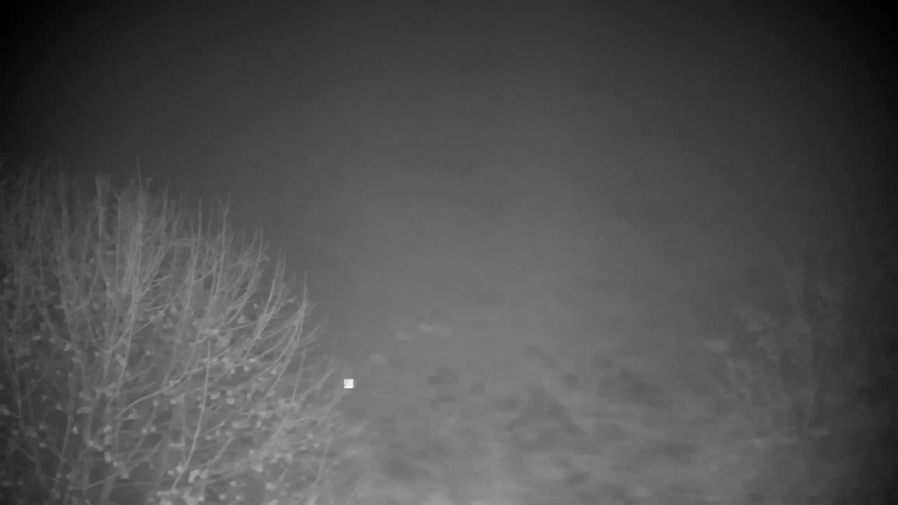 Webcam Ribnik Vrbje – Žalec