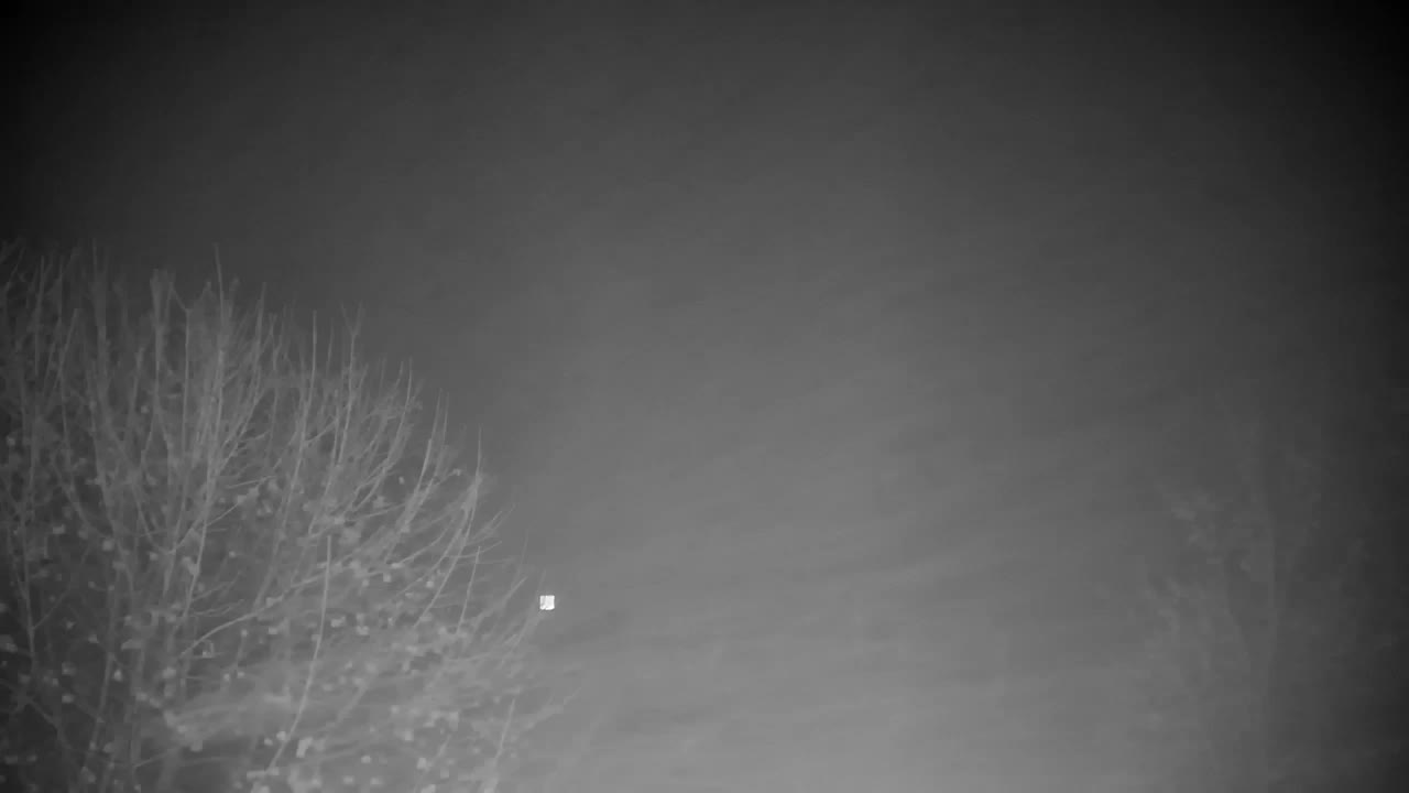 Webcam Ribnik Vrbje – Žalec